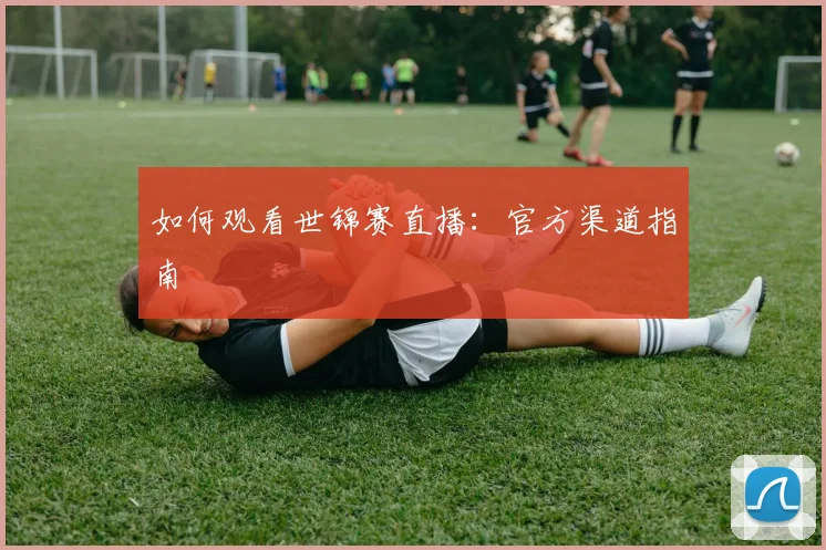 如何观看世锦赛直播：官方渠道指南