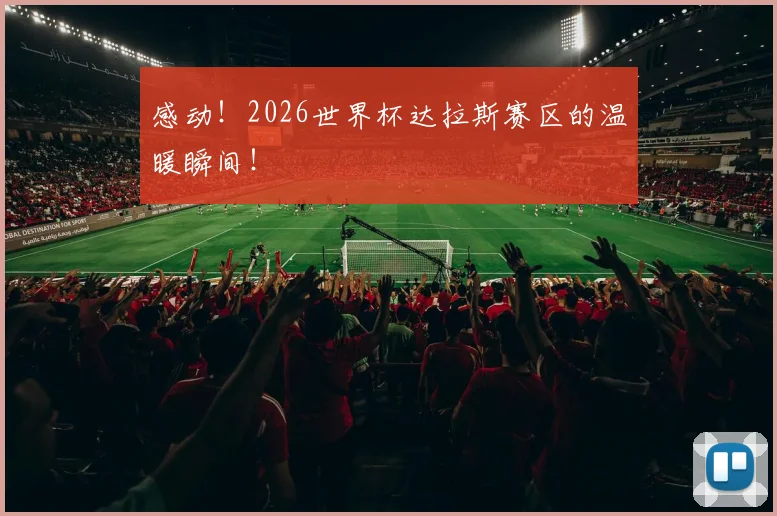 感动！2026世界杯达拉斯赛区的温暖瞬间！
