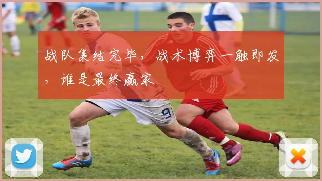 战队集结完毕，战术博弈一触即发，谁是最终赢家